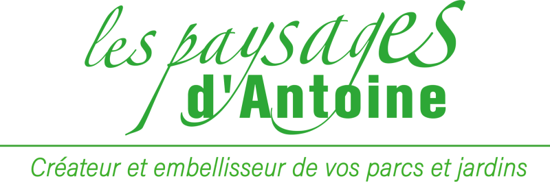 Paysagiste Bassin d'Arcachon